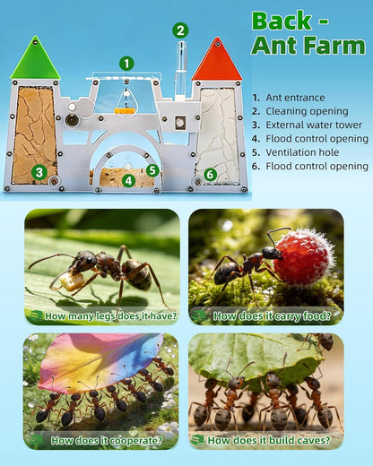 Ant Farming Castle - Ant Habitat Science Learning Kit with Yellow Sand and Tool, Large Viewing Area Ant Colony Observation Kit Educational Science Gifts for Boys, Girls