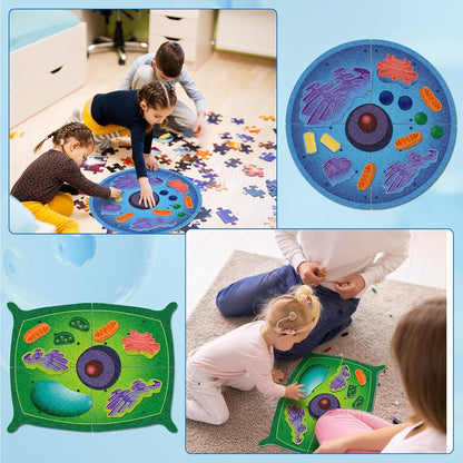 2 Set Giant Felt Animal and Plant Cell Anatomy Model Kits Early Biology Cell Model Life Science Toys Animal Plant Bacteria Science Kit for Boys Girls Classroom Educational Learning
