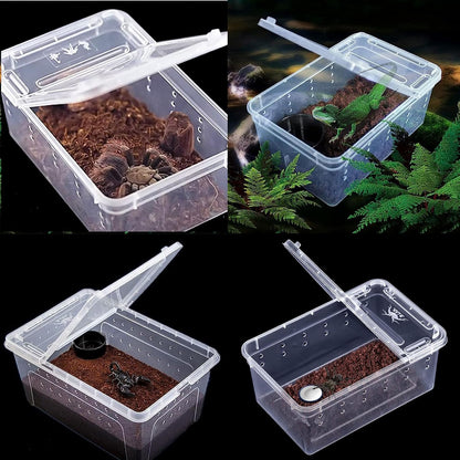Critter Keeper Ant Farm Cane Toad Trap Little Live Pets Bug Catcher Kit for Kids Frog Habitat Turtle Tank Reptile Terrariums Lizard Cage Fish Bowl Beach Aquarium Catch and Release