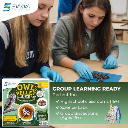 ES EVVIVA SCIENCES Owl Pellet Kit - Dissect 15 Mostly Small Real Owl Pellets w/Tools & PDF Bone Charts - Science Education Kit for Ages 15+ - Hands-On Animal Biology Science Lab Activity