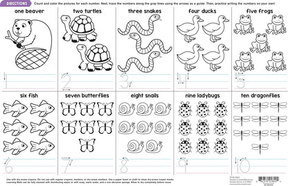 Teacher Created Resources Phonics Learning Mat