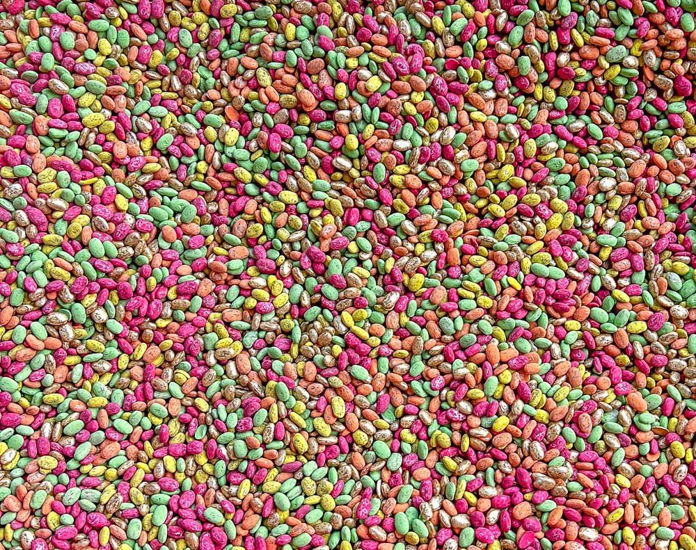Fall Themed Sensory Beans - Colorful Sensory Bin Filler - 4 Cups