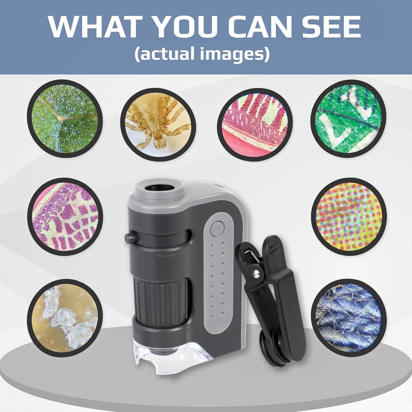 Carson MicroBrite Plus 60x-120x Accurate LED Lighted Pocket Microscope, Portable Educational STEM Toy, Mini Handheld Microscope for Student Science Lab (MM-300) , Grey