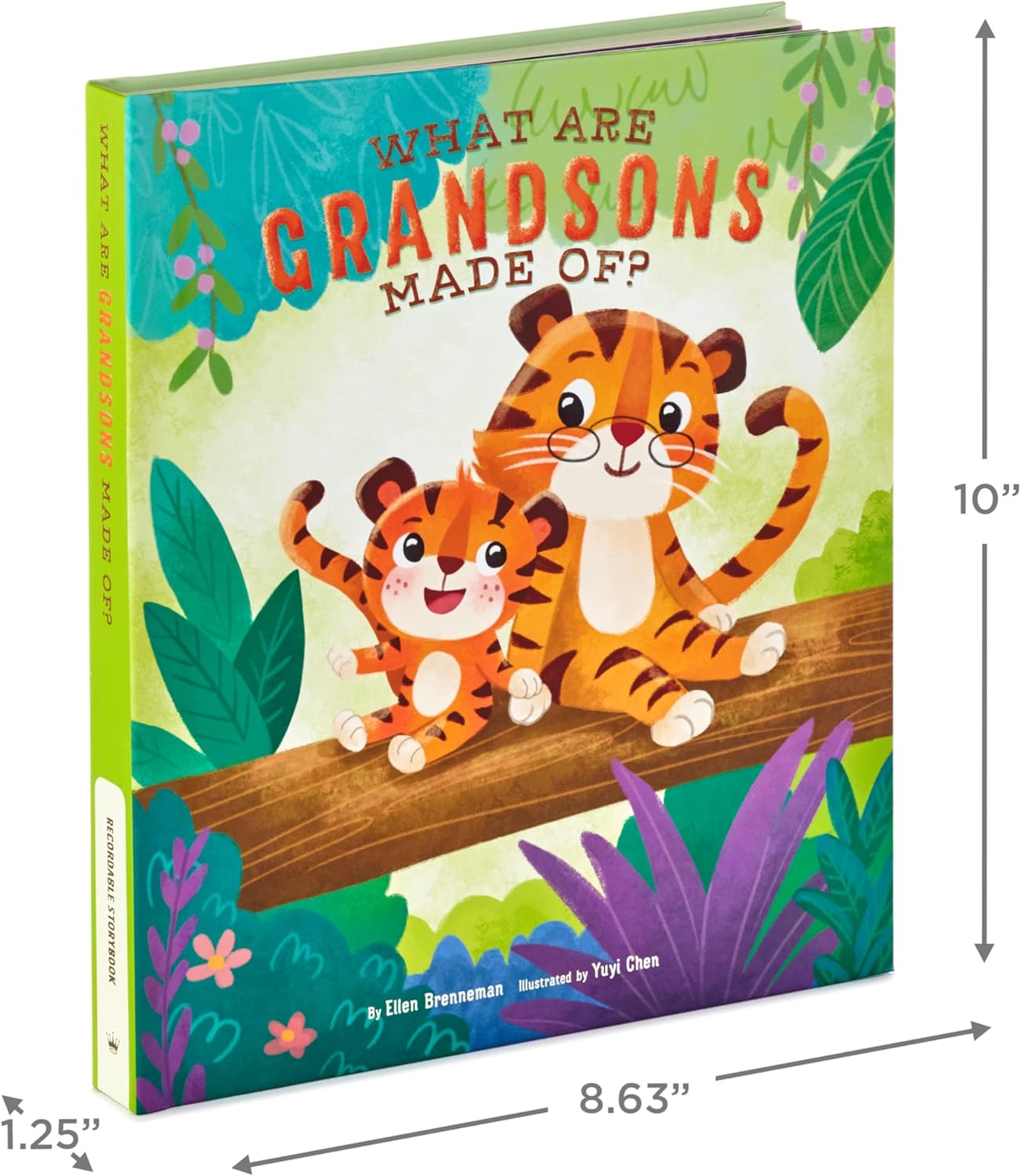 Hallmark Recordable Book for Children (What are Grandsons Made of?) Easter Basket Stuffers