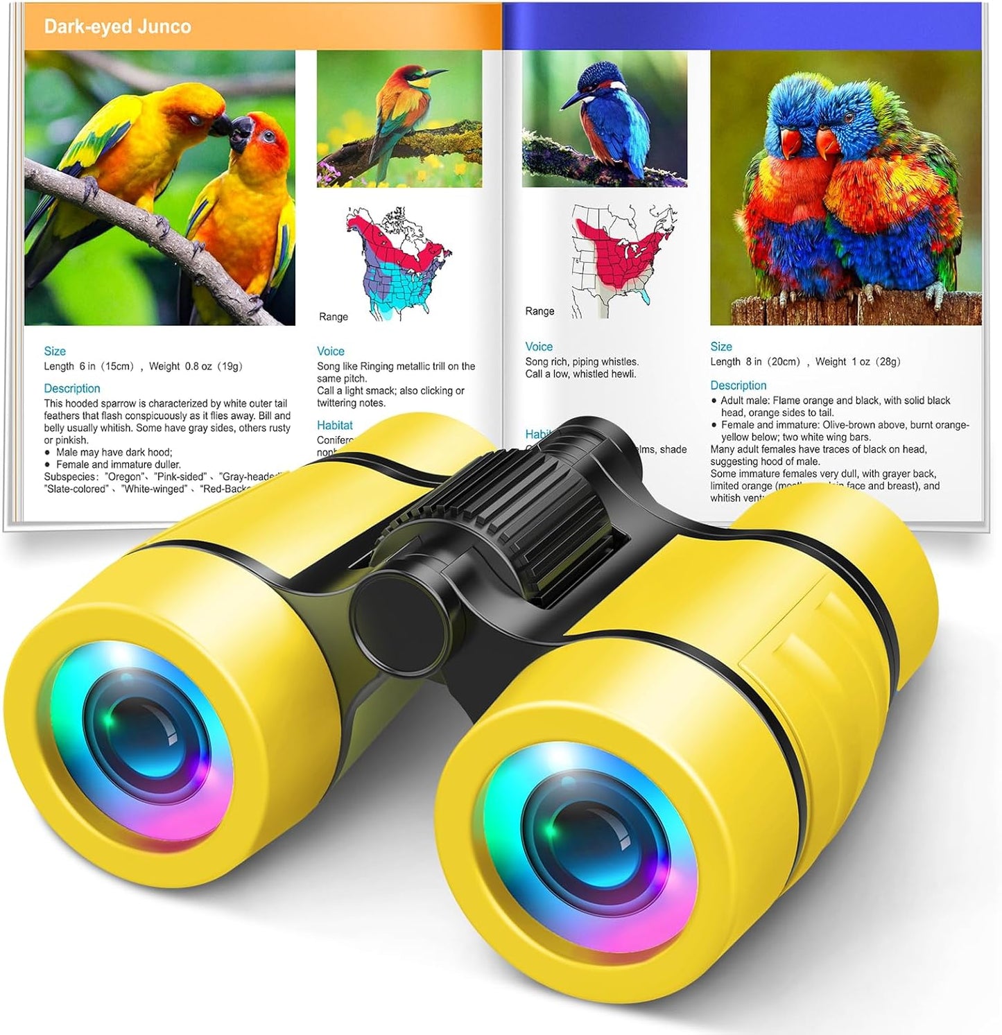 Toys for 3-7 Year Old Boys: LET'S GO! Binoculars for Kids with Bird Watching Manual Easter Birthday Gifts for 4 5 6 7 8 Year Old Boy Girls Outdoor Toy for Kid Ages 5-7 Toddler Camping Telescope