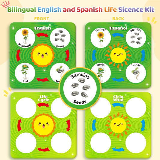 Bilingual Spanish and English Lift Cycle KIt Montessori Toy, Magnetic Learning Education Toys with Flash Cards, Animal Science Activities for Kids Ages 5-8, Matching Toys with Butterfuly, Frog