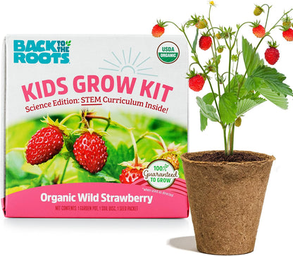 Back to the Roots Terrarium Grow Kit - Easy-to-Use DIY Set for All Ages Small