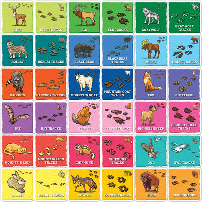 MasterPieces Officially Licensed CAT Picture Matching Card Game for Kids and Families