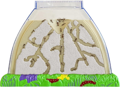 Insect Lore Ant Hill - Ant Habitat with Voucher to Redeem Live Western Harvester Ants - STEM Learning and Education Project for Classrooms or Homeschool