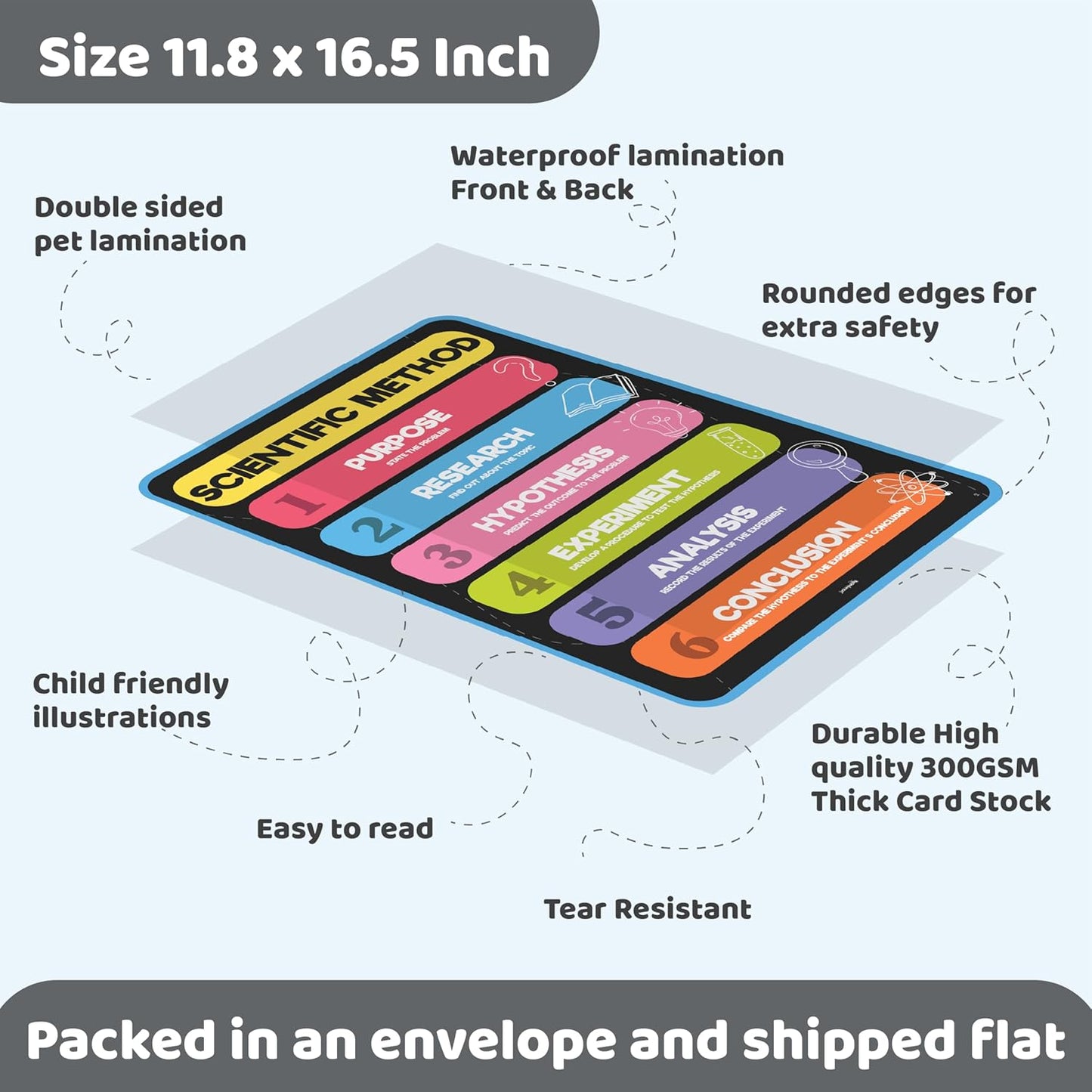 jackinthebox 12 Science Posters for Classroom - 12 x 17 inches Laminated, Middle School Science Posters, Posters for High School, Science Classroom Decor, Science Bulletin Board Sets for Kids.