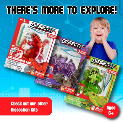 Dissect-It Discover-It Dinosaur Dig Kit, Dissecting Gel Kids Science Kit Project to Learn Anatomy, STEM Toys for Ages 6 and Above