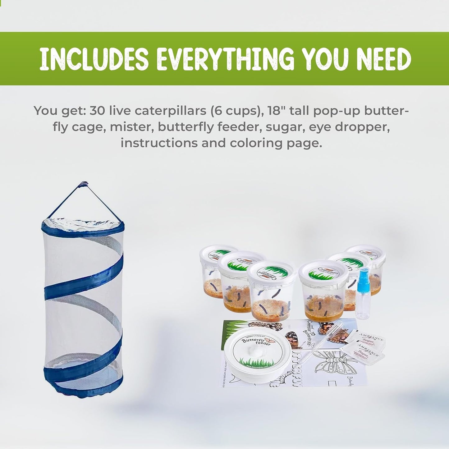 Nature Gifts Live Butterfly Kit - School-Sized Educational Experience with 30 Painted Lady Caterpillars in 6 Cups - Pop-Up Cage, and Comprehensive Rearing Supplies for Classroom Engagement
