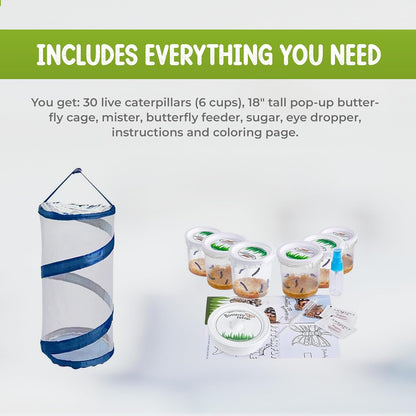 Nature Gifts Live Butterfly Kit - School-Sized Educational Experience with 30 Painted Lady Caterpillars in 6 Cups - Pop-Up Cage, and Comprehensive Rearing Supplies for Classroom Engagement