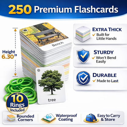 Flash Cards for Toddlers 1–3 with Rings,250 Double-Sided Cards,500 Words–1 Year Old Girl & Boy Gifts – Toddler Flash Cards–Learning & Educational Toys for 1+ Year Old, Montessori Toys for 2 Year Olds