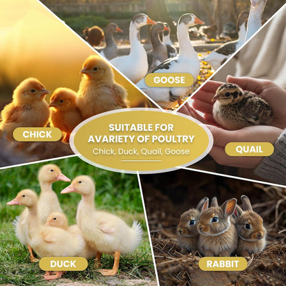 Chicken Brooder Box for Chick Starter Kit - 45" Brooder Box for Chicks - Large Chicken Brooder and Pet Tent - Brooder Box with Feeder, Waterer, and Cleaner - Chicken Box for Indoor Use