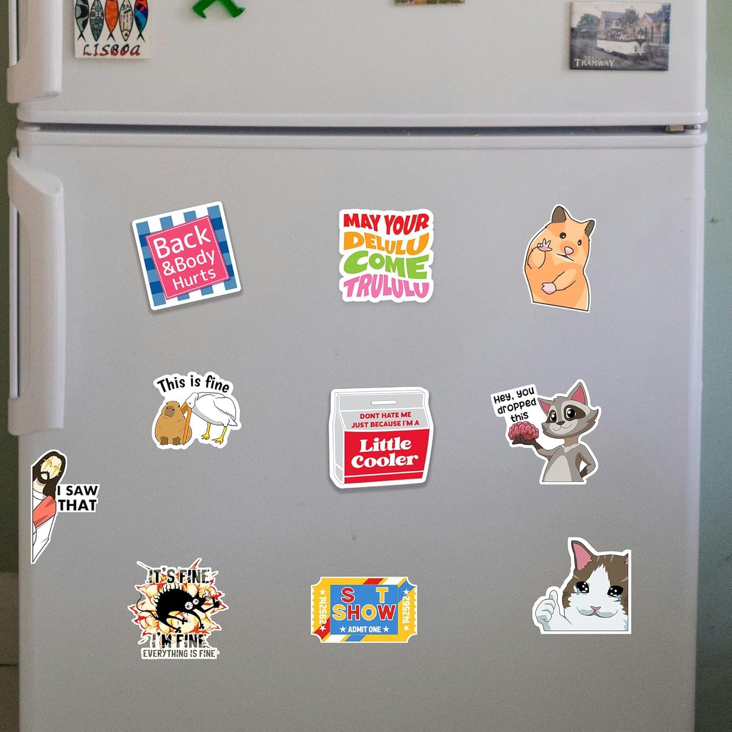 Debinolo 16 PCS Funny Fridge Magnets for Adults, and Words for Refridgerator Cabinet Door Dishwasher Filing Cabinets Tool Box Home/Office Decorations (16, Funny)