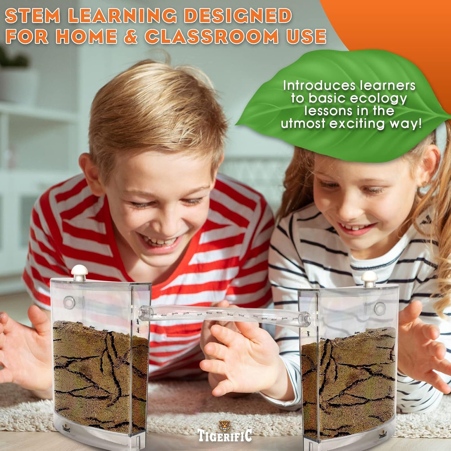 Ant Farm for Live Ants - Real Sand Ant Colony Kit for Kids -Fun Science Habitat Set for Children, Watch Ants Dig Tunnels, Carry Sand, Hide and Drag Their Food