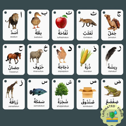 Arabic Alphabet Flash Cards for Kids Toddler and Adults, Arabic First Words, Letter Recognition, Homeschool Learning, Arabic Teacher