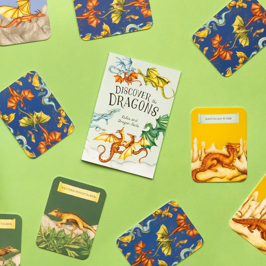 Discover the Dragons: A Memory Game (Folklore Field Guides)
