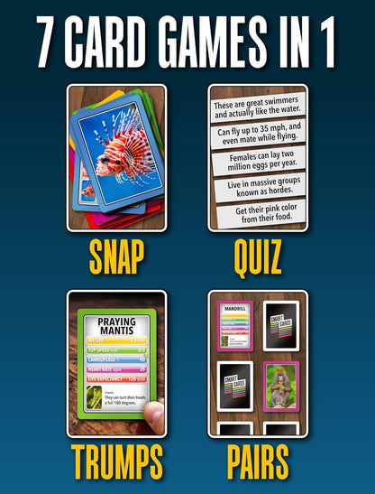 SMART CARDS DINOSAURS Card Game - Matching Pairs, Snap, Trumps, Rummy, Happy Families (7 Games To Play) | Travel Game, Gift, Stocking Stuffer | for Adults, Kids, Boys, Girls | Age 5+, 1-8 Players
