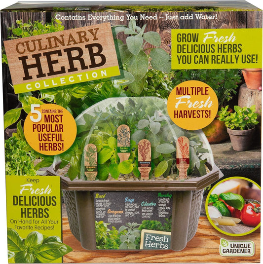 Herb Indoor Kitchen Window Garden Terrarium Starter Kit - Grow Your Own Basil, Oregano, Rosemary Sage, Cilantro, & Parsley - Includes Soil, Seeds & Complete Supplies - Unique Indoor House Plants