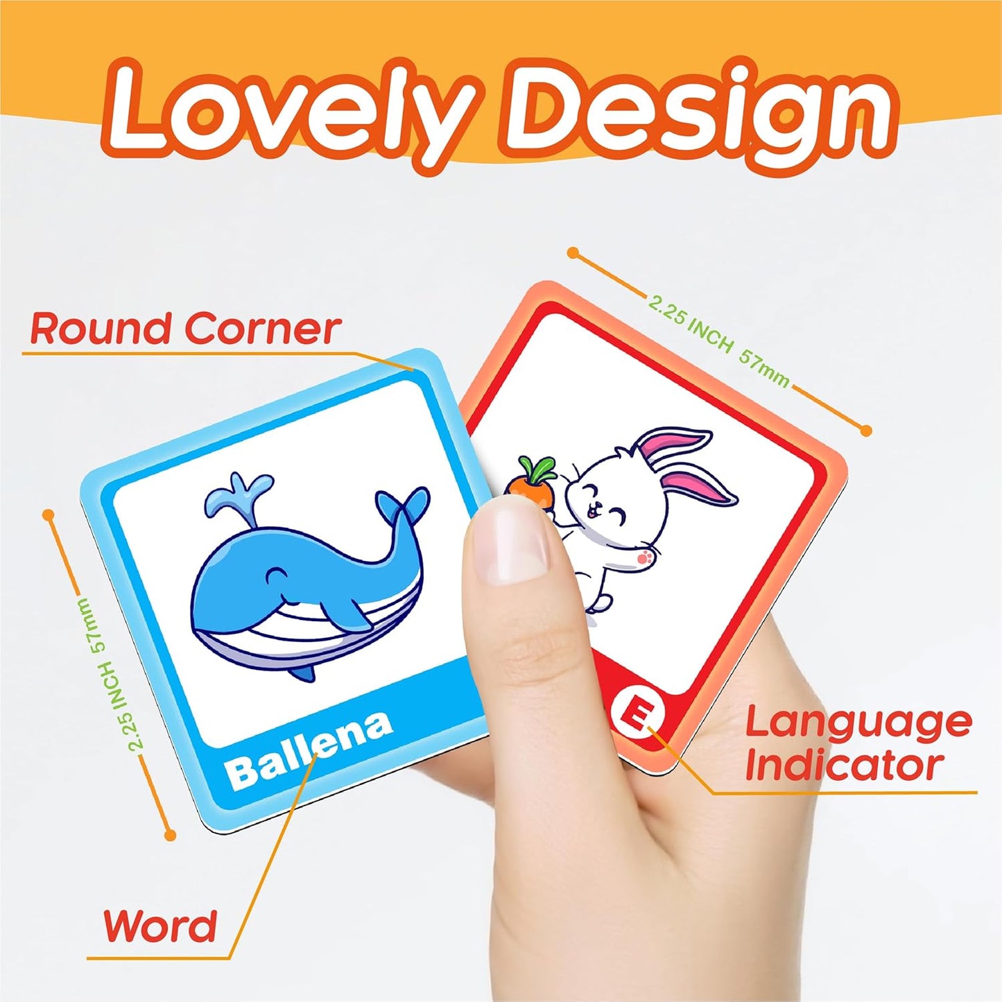72 (36 Pairs) Bible Trivia Memory Matching Game with Poster and Online Trivia Language Learning Games for ESL and Language Immersion
