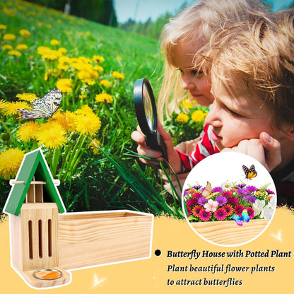 New Butterfly House and Feeder for Outside, Wooden Butterfly House with Metal Stake for Garden, Natural Butterfly Habitat with Butterfly Puddler on The Floor or Hanging on Tree Wall