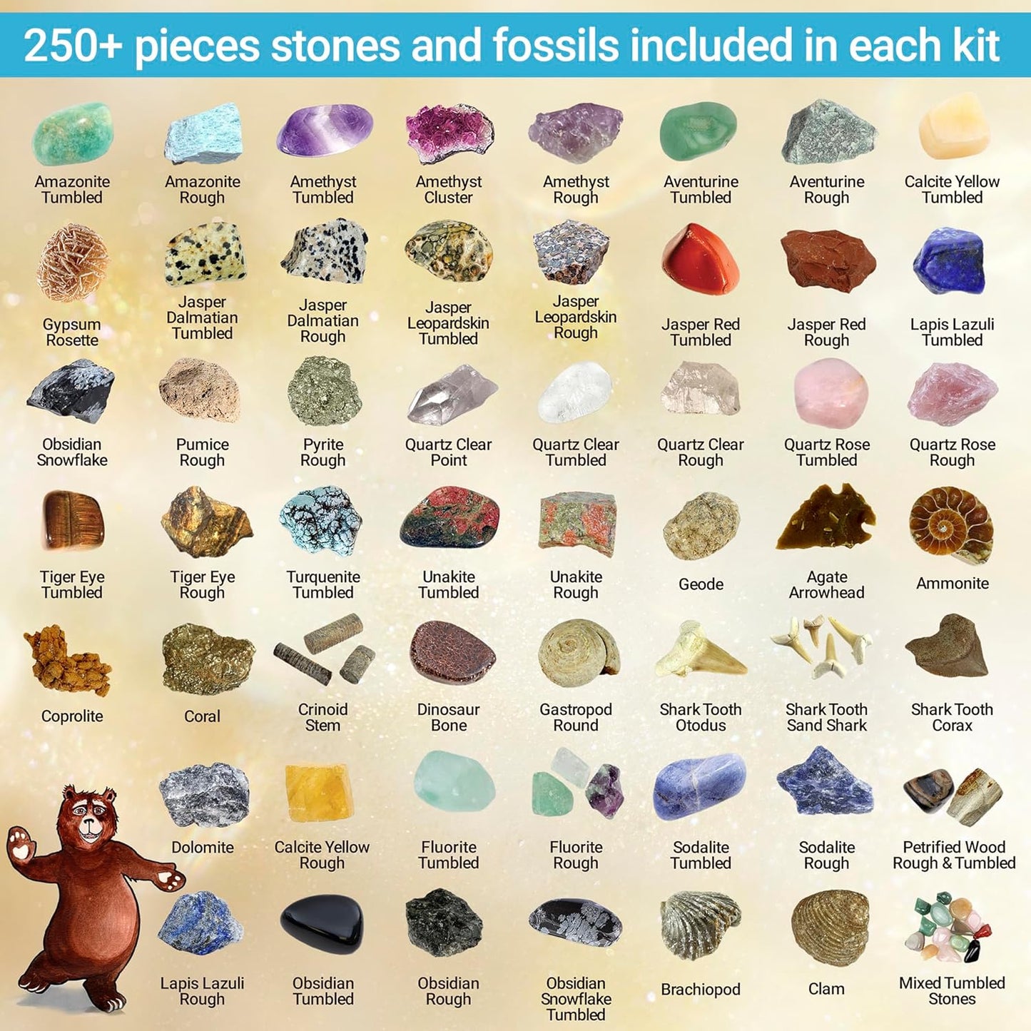 DANCING BEAR Rock, Mineral & Geodes Treasure Hunt Activity Kit (250 Pc Set) Real Shark Teeth Fossils, ID Sheet & Rock Book, STEM