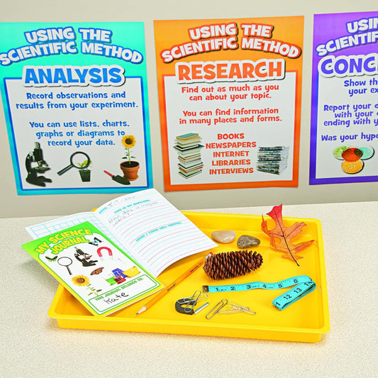 Fun Express Magnets for Kids Set of 12 - Mini Horseshoe Magnet with Bar for Science Experiments | Educational Magnetic Toys for Classroom Learning | Perfect Science Toys for Teachers & Students