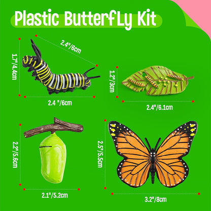 15 Plant Life Circle Flashcards with 4 Plastic Figurines-Seed to Plant, Plants Introduction Card Plants Growth Details for Nature Lovers & Adults, Montessori Toy for Kids
