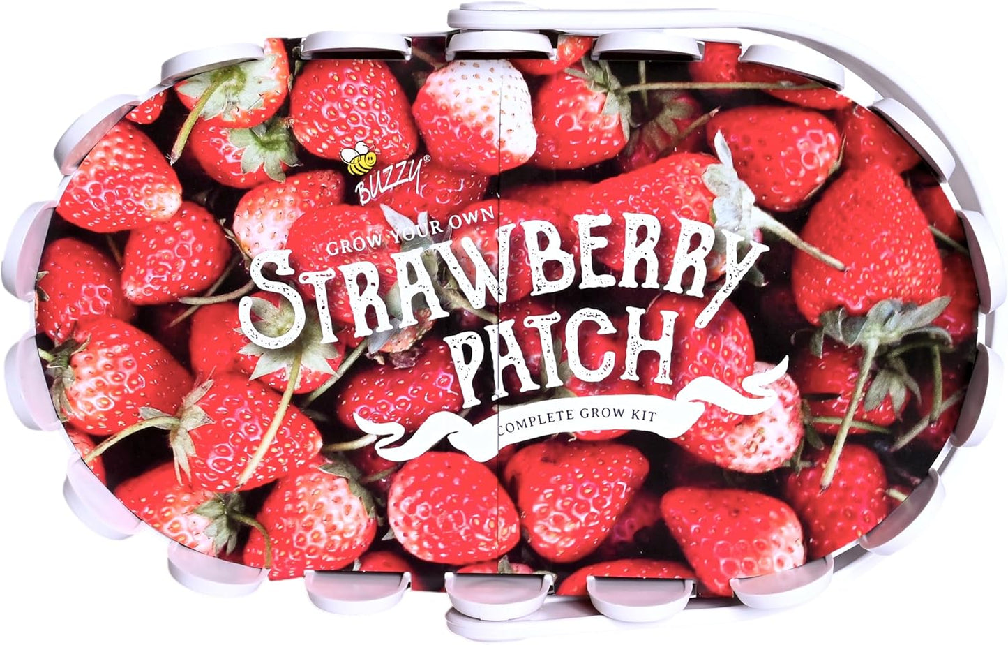 Buzzy Seeds Strawberry Grow Kit Pink Picket Fence Berry Basket with Grandian Seeds, Indoor Planting Starter Kit, DIY Garden Project, Gardening Gift for Women