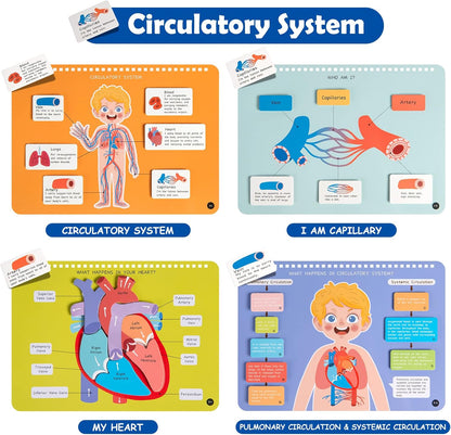 Freebear Montessori Busy Book for Kids, Human Body Anatomy Book for Toddlers, Preshool Kindergarten Learning Activities, Autism Sensory Toys, Travel Toys, Gifts for Girls and Boys 4 5 6 7 8 Years