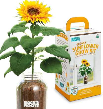 Back to the Roots Kids Science Grow Kit - 2 pk Bean and Watermelon