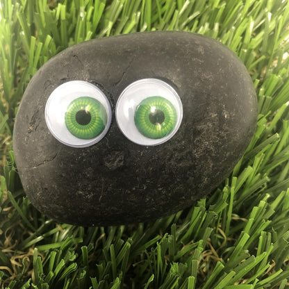 Rock Pet Adoption Kit Funny Novelty Gag Gift (Green Eyes)