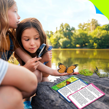 15 Plant Life Circle Flashcards with 4 Plastic Figurines-Seed to Plant, Plants Introduction Card Plants Growth Details for Nature Lovers & Adults, Montessori Toy for Kids