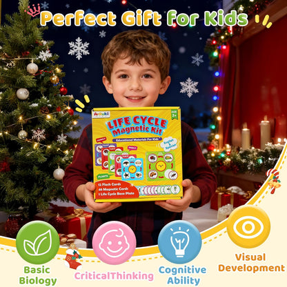 Bilingual Spanish and English Lift Cycle KIt Montessori Toy, Magnetic Learning Education Toys with Flash Cards, Animal Science Activities for Kids Ages 5-8, Matching Toys with Butterfuly, Frog