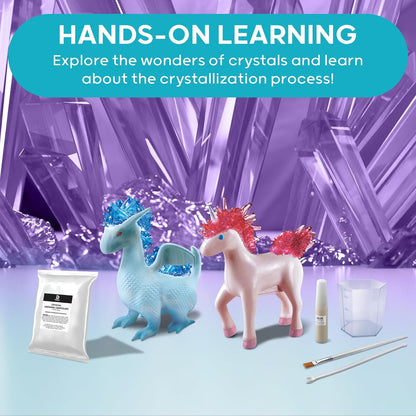 Discovery™ Dragon & Unicorn Crystal Grow Kit, DIY STEM Activity Set, Educational Arts & Crafts for Kids, Children's Chemistry & Science Learning Toy, Fun & Safe Science Project Gift Ages 8+