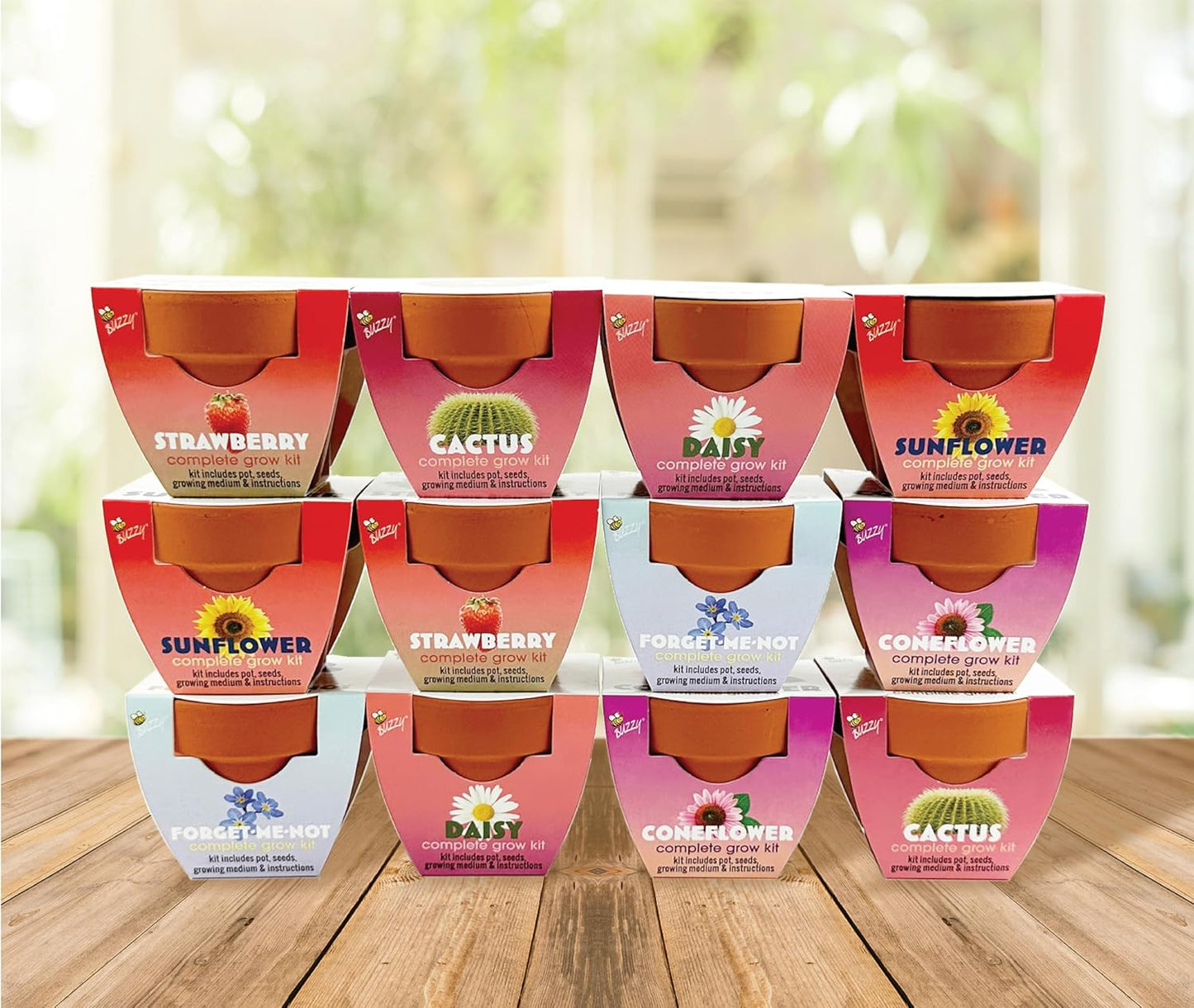 BUZZY Seeds 12-Pack Sunflower Mini Grow Pots – All-in-One Terracotta Flower Starter Kit with Growing Medium, DIY Gardening, Wedding and Shower Favors