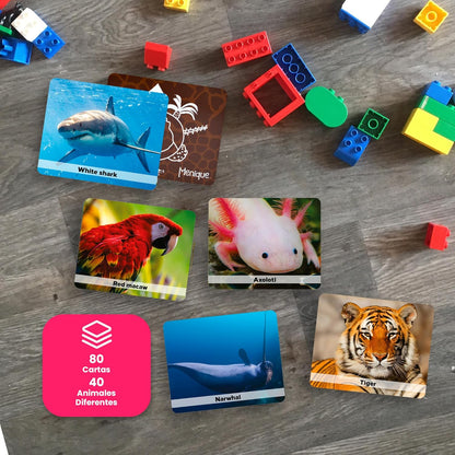 Menique Wild Animals Memory Matching Game – 80 Cards (40 Pairs) with Real Photos – Includes Educational Booklet with Animal Facts – Fun & Cognitive Game for Kids and Adults