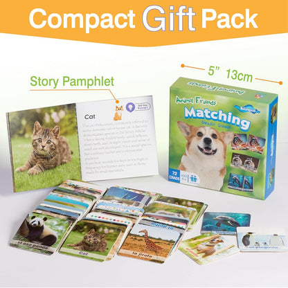 72 (36 Pairs) Bible Trivia Memory Matching Game with Poster and Online Trivia Language Learning Games for ESL and Language Immersion