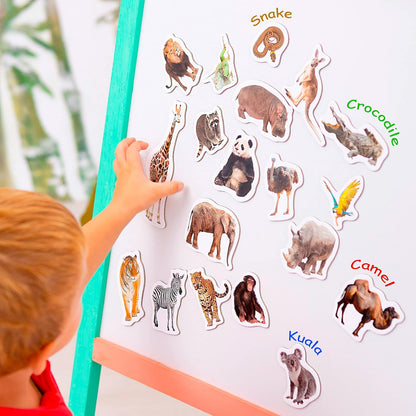 25 Fridge Magnets for Toddlers - Birds Photo Kids Magnets for Refrigerator – Real Magnetic Animals for Children – Big Realistic Magnet for Kids - Learning Toy Set - Baby Educational Gift