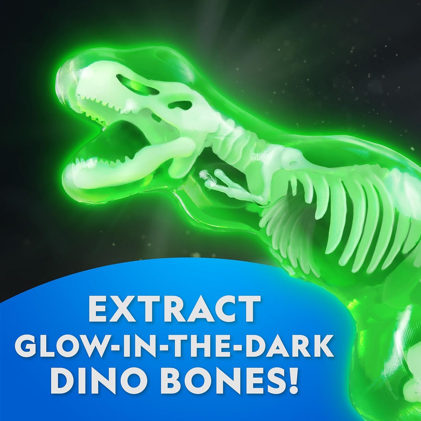National Geographic Shark Dissection Kit – Glow in the Dark Great White Shark Anatomy Lab with 12 Bones & Organs, Refill Pack, Kid-Friendly Tools & Learning Guide