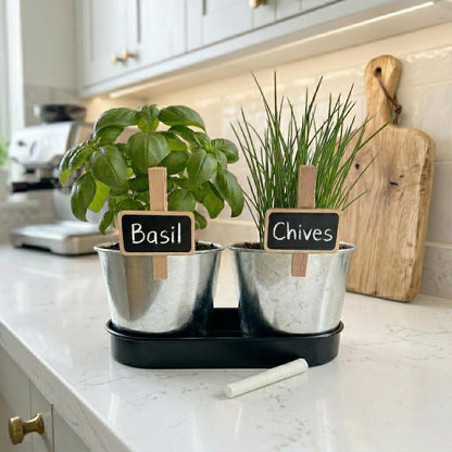 BUZZY Seeds Pollinator Garden Grow Kit with 2 Galvanized Metal Pots, Black-Eyed Susan and Coneflower Seeds, Growing Medium, Plant Markers, Chalk and Easy Instructions, Great Gift for Plant Lovers