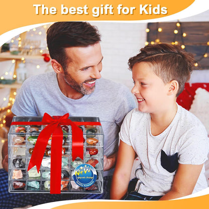 Rock Collection Box for Kids - Display Case for Collectibles - Storage and Display Shelf - Generation 2