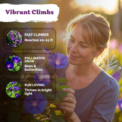KVITER 5,500 Fairy Bouquet Mix Snapdragon Seeds for Planting (Linaria Maroccana) – Known as Toadflax, Heirloom & Organic – Flower Seeds to Plant Outside & Inside – Garden, Containers, Borders, Beds