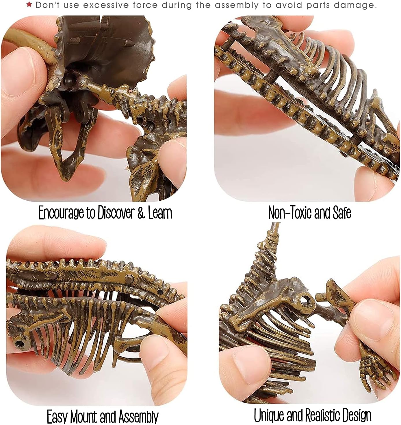 Dig & Discover Dino Tyrannosaurus Rex Dinosaur Skeleton 3D Fossil Bones Excavation, Science Educational Toy Kit for Kids, Children