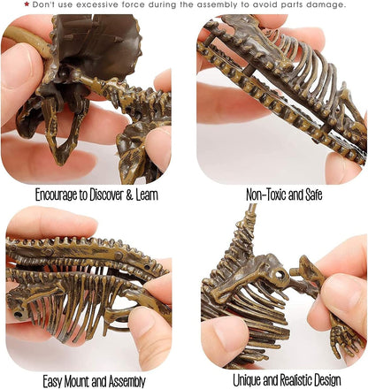 Dig & Discover Dino Tyrannosaurus Rex Dinosaur Skeleton 3D Fossil Bones Excavation, Science Educational Toy Kit for Kids, Children