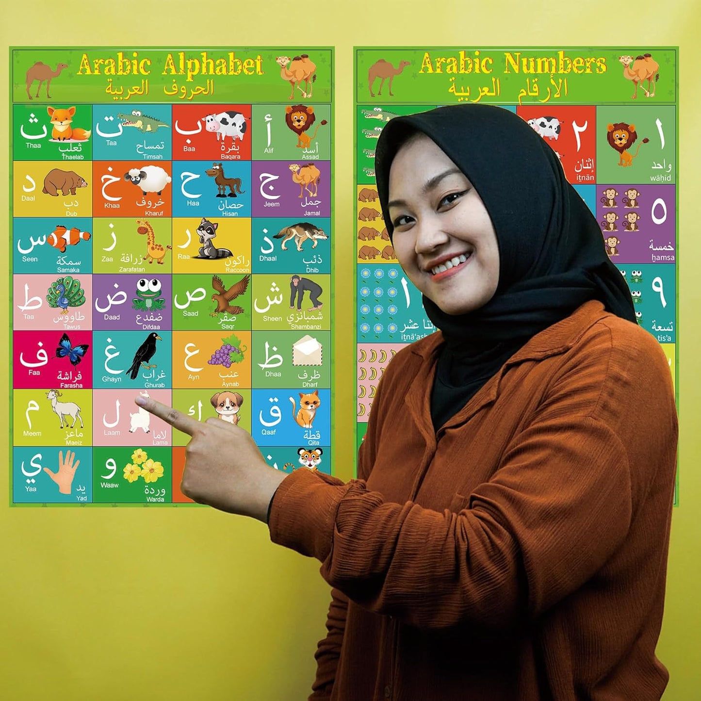 Arabic Alphabet Number Poster for Kids Arabic Alphabet Flash Cards with English Transliteration for Toddlers Kids Preschool & Kindergarten Classrooms