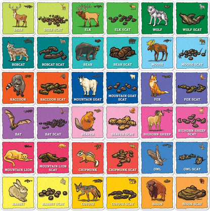 MasterPieces Officially Licensed CAT Picture Matching Card Game for Kids and Families