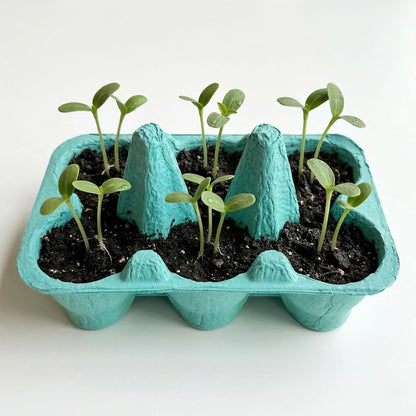 Buzzy Seeds Flower Starter Kit | 2-Pack Eco-Friendly Colorful Egg Cartons | Sunflower & Daisy Seeds | Indoor Flower Grow Kit | Gardening Gift | Ideal for Easter or Mother's Day Gifting